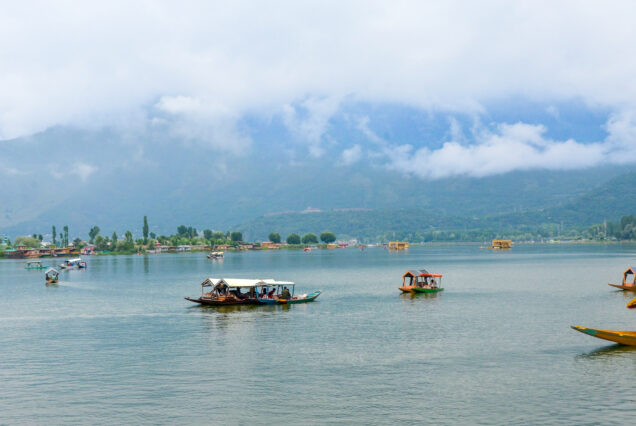 Kashmir (Ex Srinagar) 5N 6D